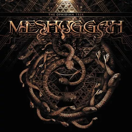Meshuggah - I am Colossus (Live)