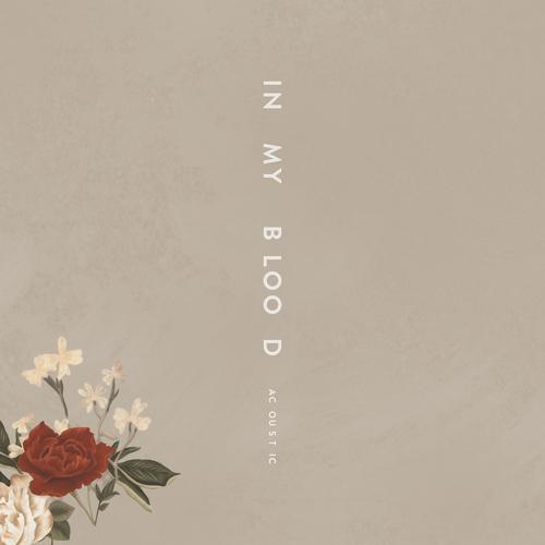 Shawn Mendes - In My Blood (Acoustic)