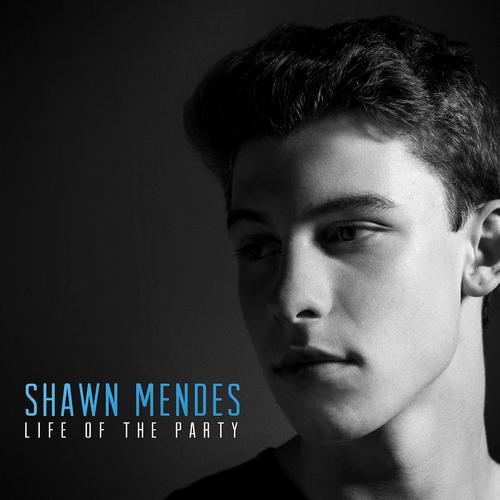 Shawn Mendes - Life Of The Party