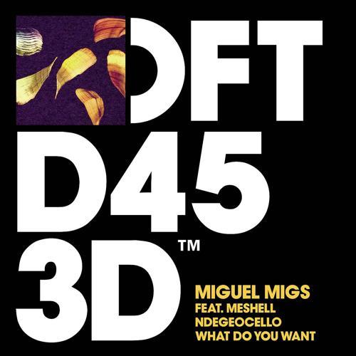 Miguel Migs, Me'Shell NdegéOcello - What Do You Want (feat. Meshell Ndegeocello)