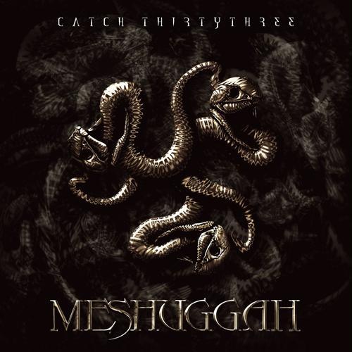 Meshuggah - Re-Inanimate