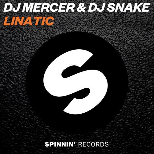 DJ MERCER, DJ Snake - Lunatic