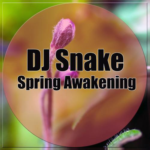 DJ Snake - Spring Awakening