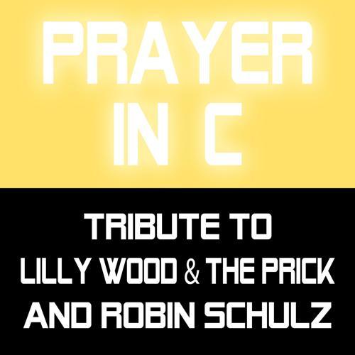 Tribute to Lilly Wood, Prick, Robin Schulz - Prayer in C (Karaoke Version)
