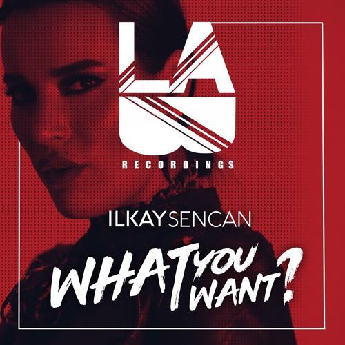 Ilkay Sencan - What You Want