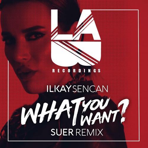 Ilkay Sencan, SUER - What You Want (Suer Remix)