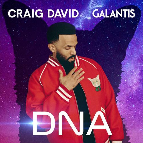 Craig David, Galantis - DNA