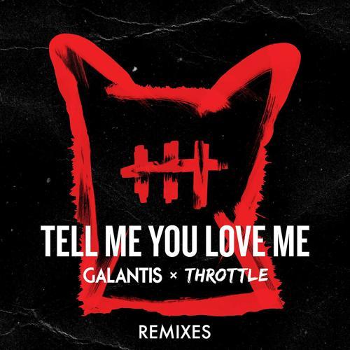 Galantis, Throttle - Tell Me You Love Me (DropGun Remix)