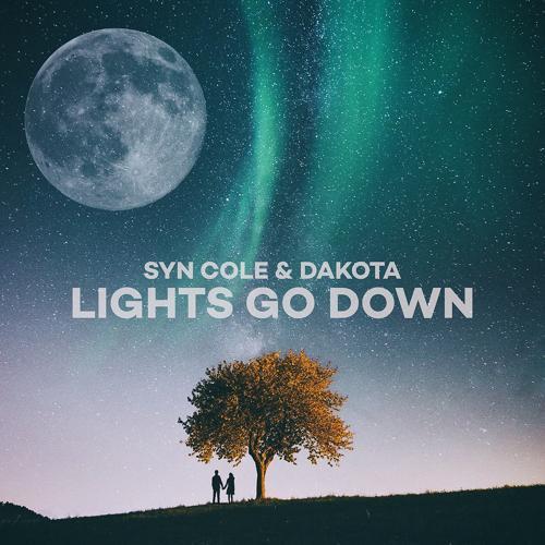 Syn Cole, Dakota - Lights Go Down