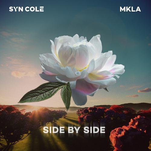 Syn Cole, MKLA - Side By Side