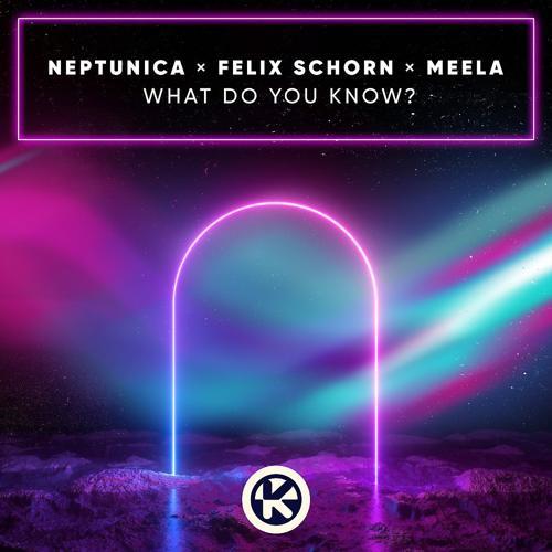 Neptunica, Felix Schorn, Meela - What Do You Know?