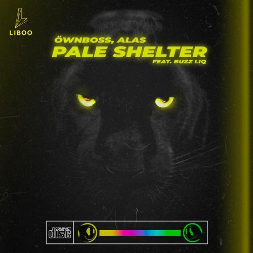 Öwnboss, Alas, Buzz Liq - Pale Shelter (Radio Edit)