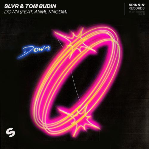 SLVR, Tom Budin, ANML KNGDM - Down (feat. ANML KNGDM)