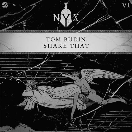 Tom Budin - Shake That (Original Mix)