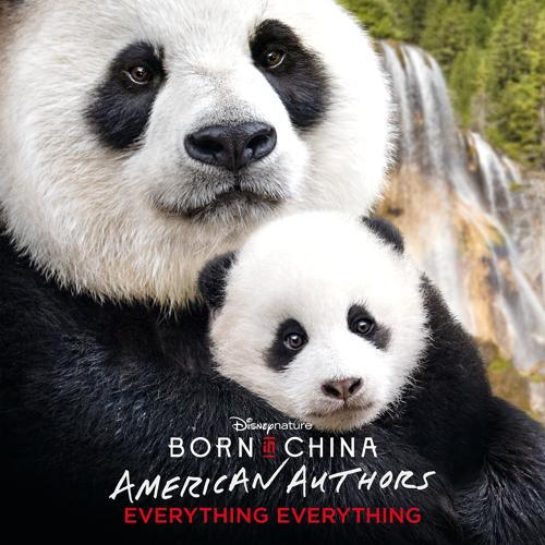 American Authors - Everything Everything (From "Born in China")