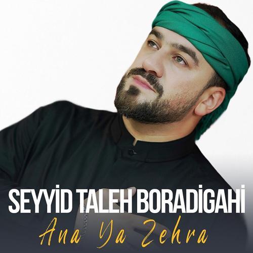Seyyid Taleh Boradigahi - Lay lay Eli Can