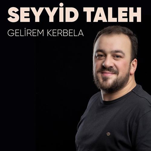Seyyid Taleh Boradigahi - Seslerem Kerbubela Huseyn Kerbubela