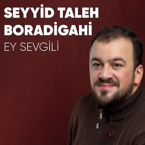 Seyyid Taleh Boradigahi - Severem seni