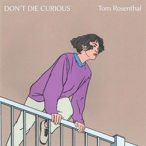 Tom Rosenthal - Was It You Who I Saw?